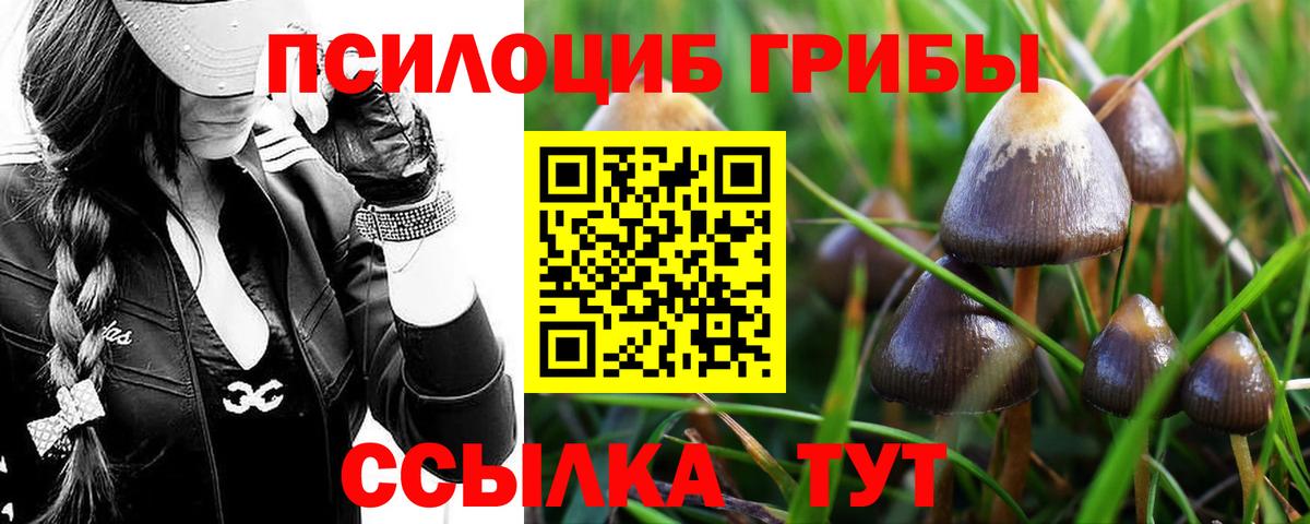 Донецк  Галлюциногенные грибы Cubensis  Вход с VPN 